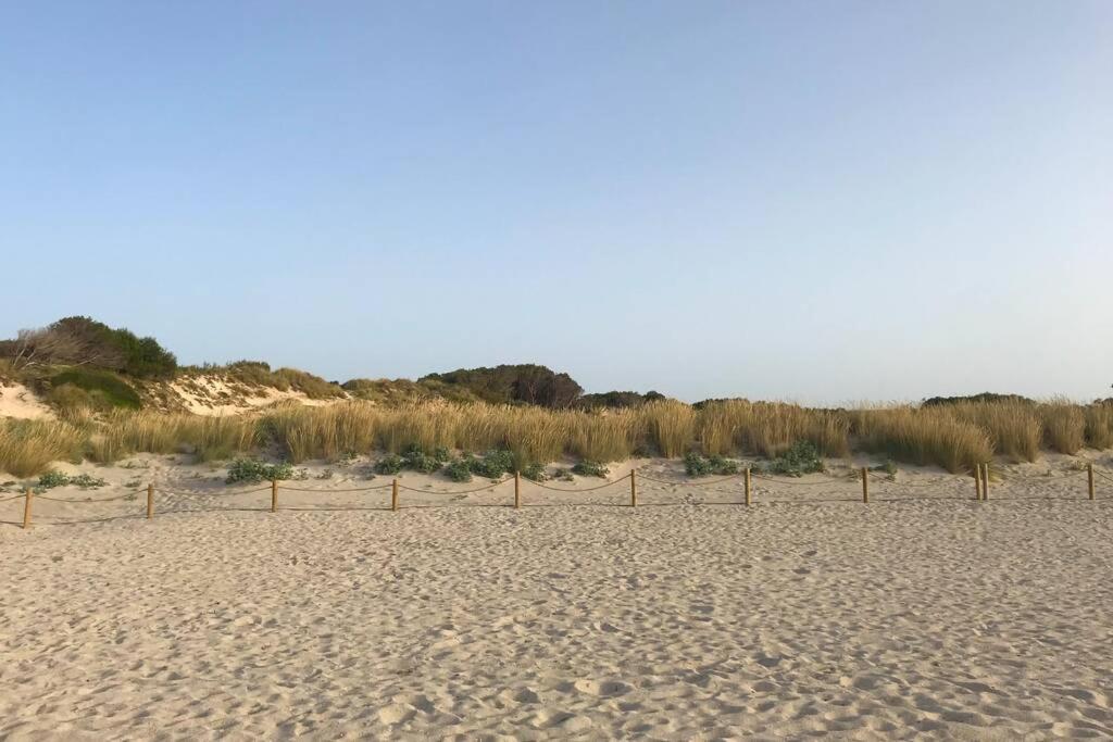 Menorca. Escapa a la naturaleza, redescubre la paz. Son Parc Exterior foto
